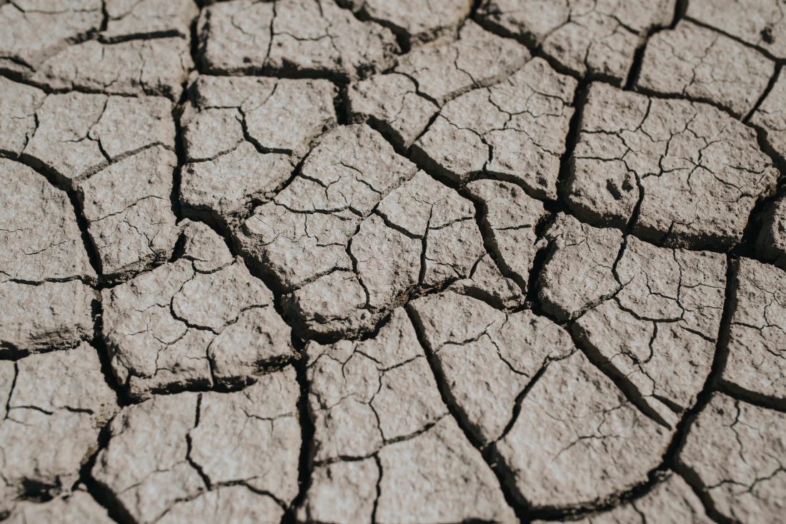 Free photo of Drought In The Summer