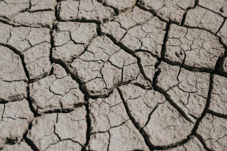 Drought In The Summer Free Stock Photo
