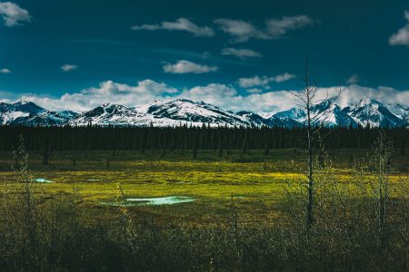 Alaskan Landscape Free Stock Photo