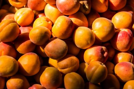 Apricots Free Stock Photo