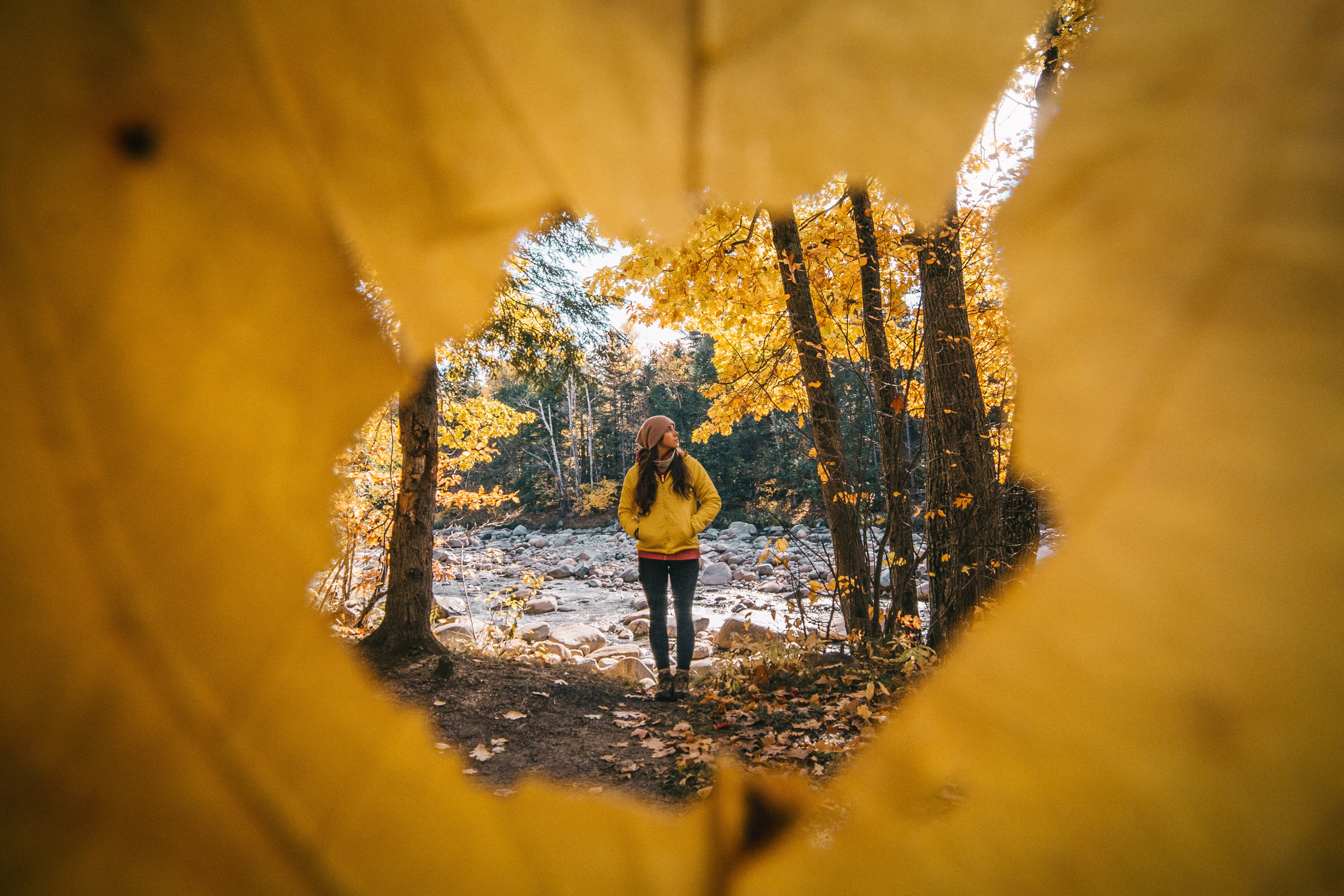 Download Autumn Hiker Royalty Free Stock Photo and Image