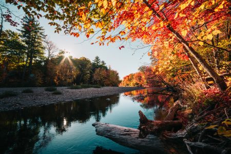 Calm River in the Autumn Free Stock Photo
