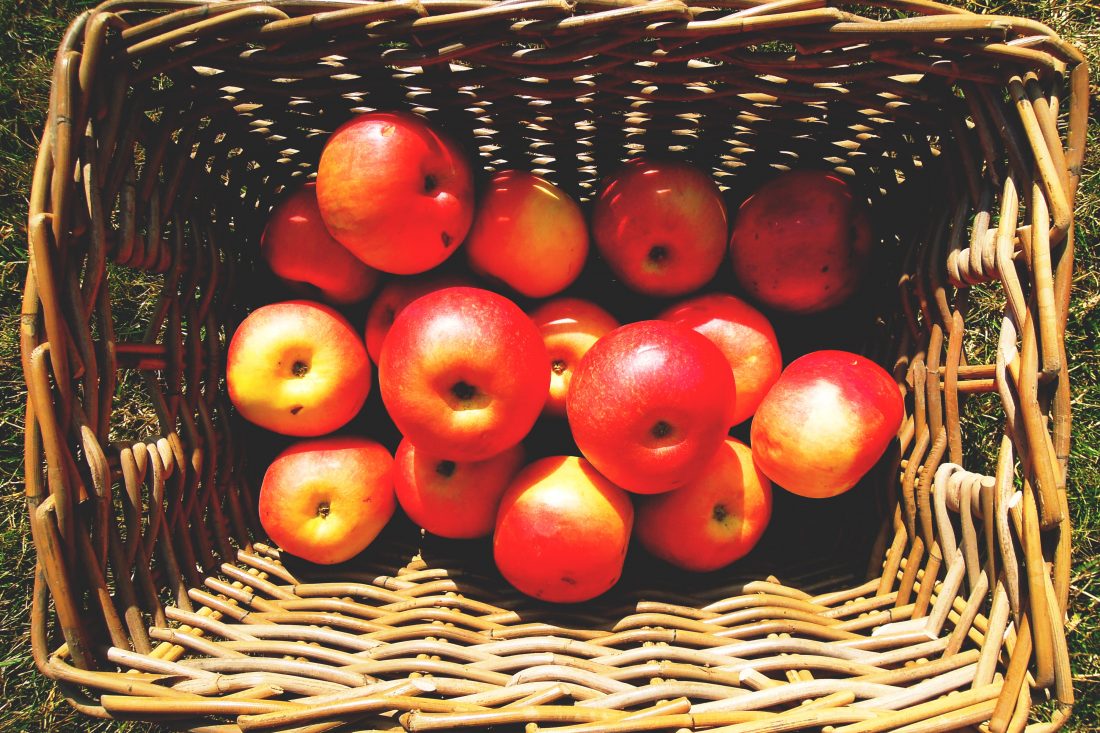 Free photo of Basket of Apples