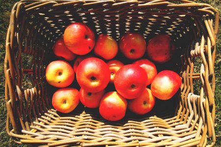 Basket of Apples Free Stock Photo
