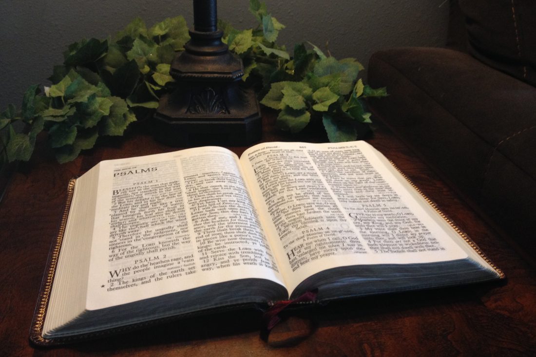 Free photo of Open Bible