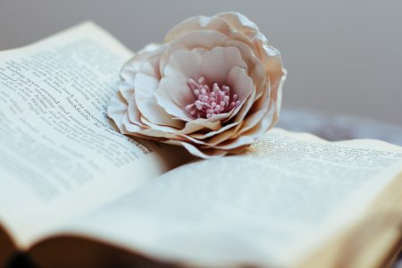 Book & Flower Free Stock Photo