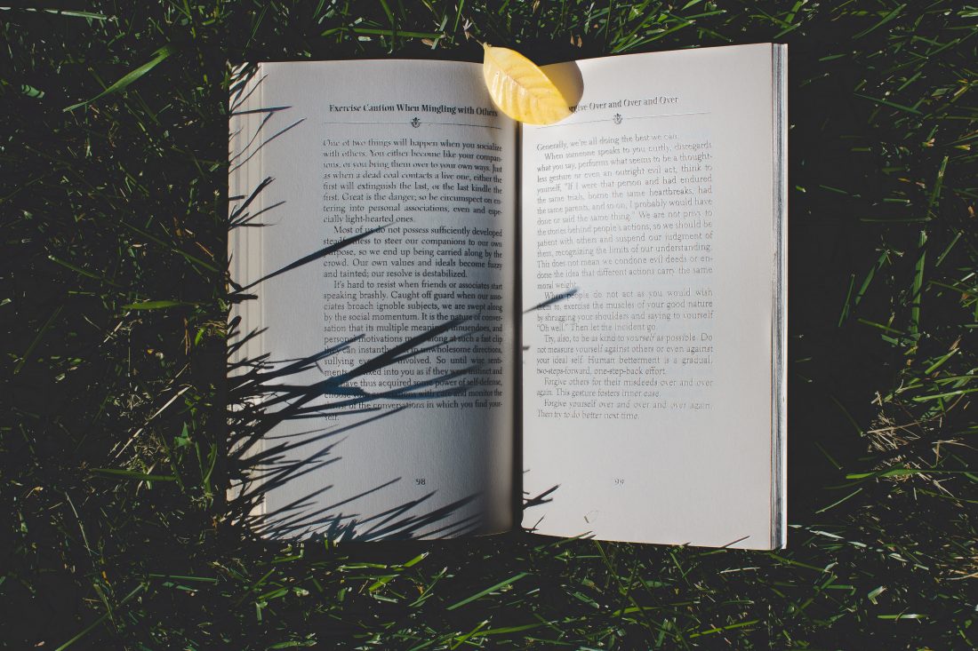 Free photo of Book in Grass