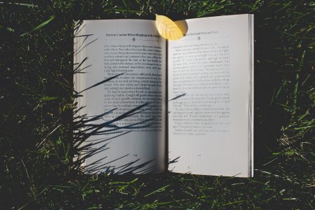 Book in Grass Free Stock Photo