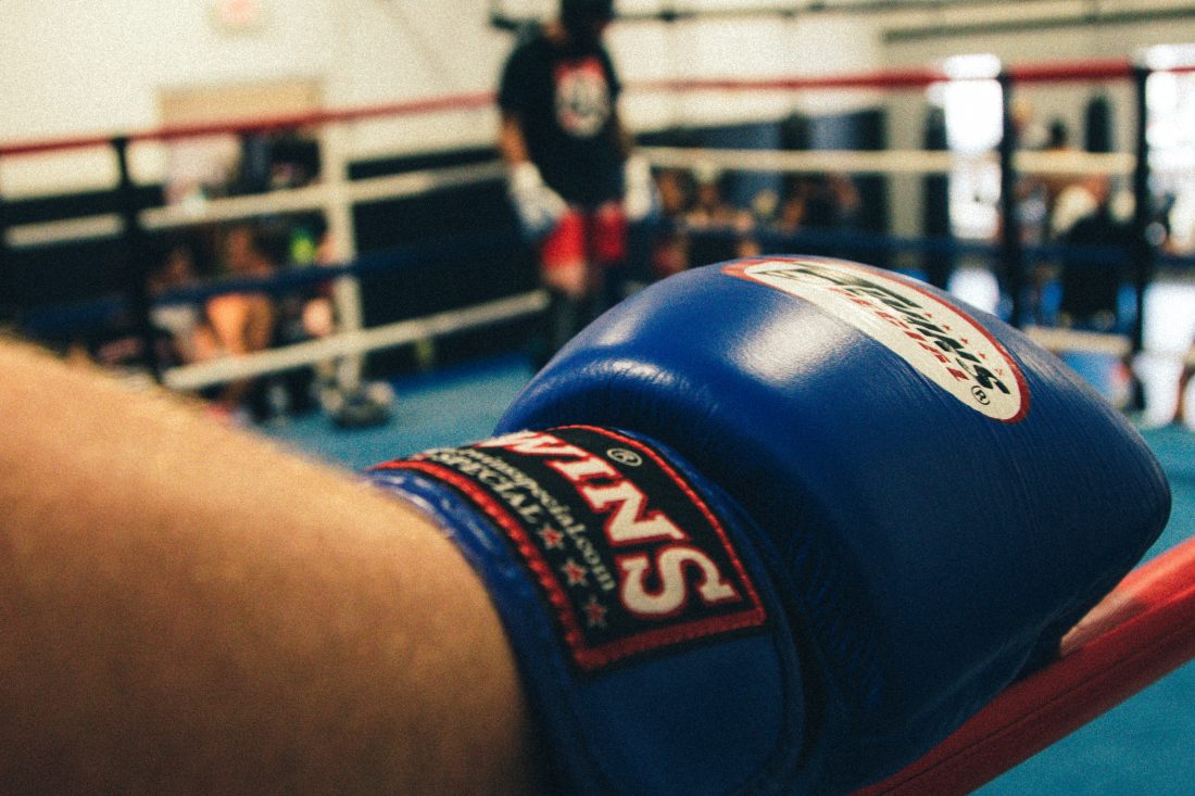 Free photo of Boxing Glove