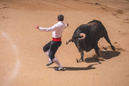 Bullfighting in Madrid Free Stock Photo