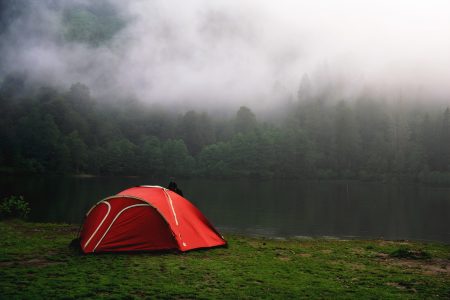 Camping by Foggy Forest in Red Tent Free Stock Photo
