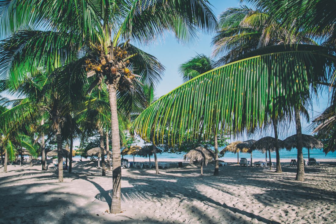 Free photo of Caribbean Beach, Cuba