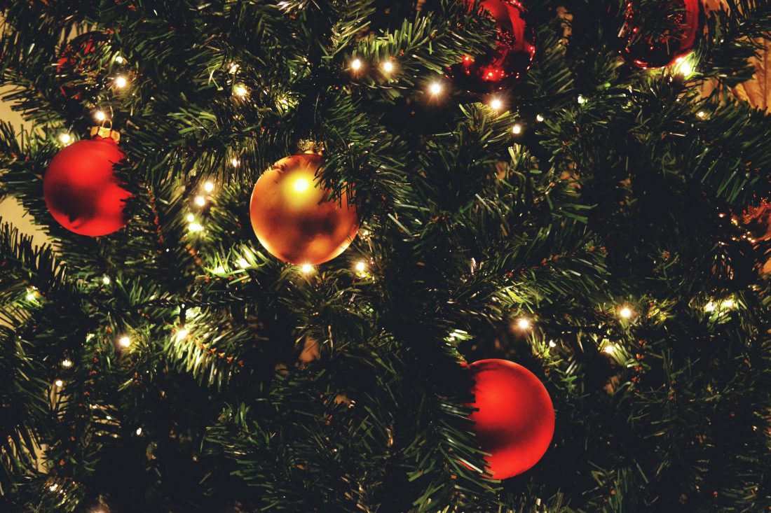 Free photo of Christmas Tree Lights