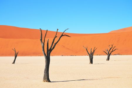 Desert Landscape Free Stock Photo