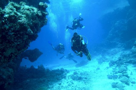 Underwater Diving Free Stock Photo