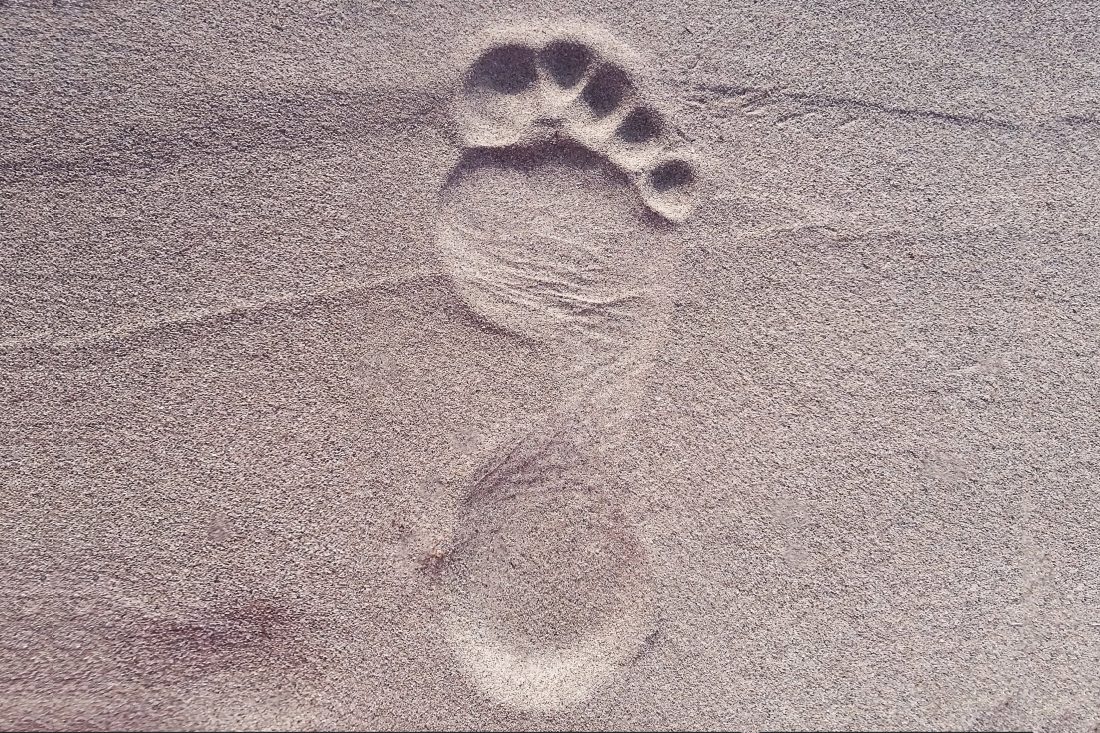 Free photo of Footprint in Sand