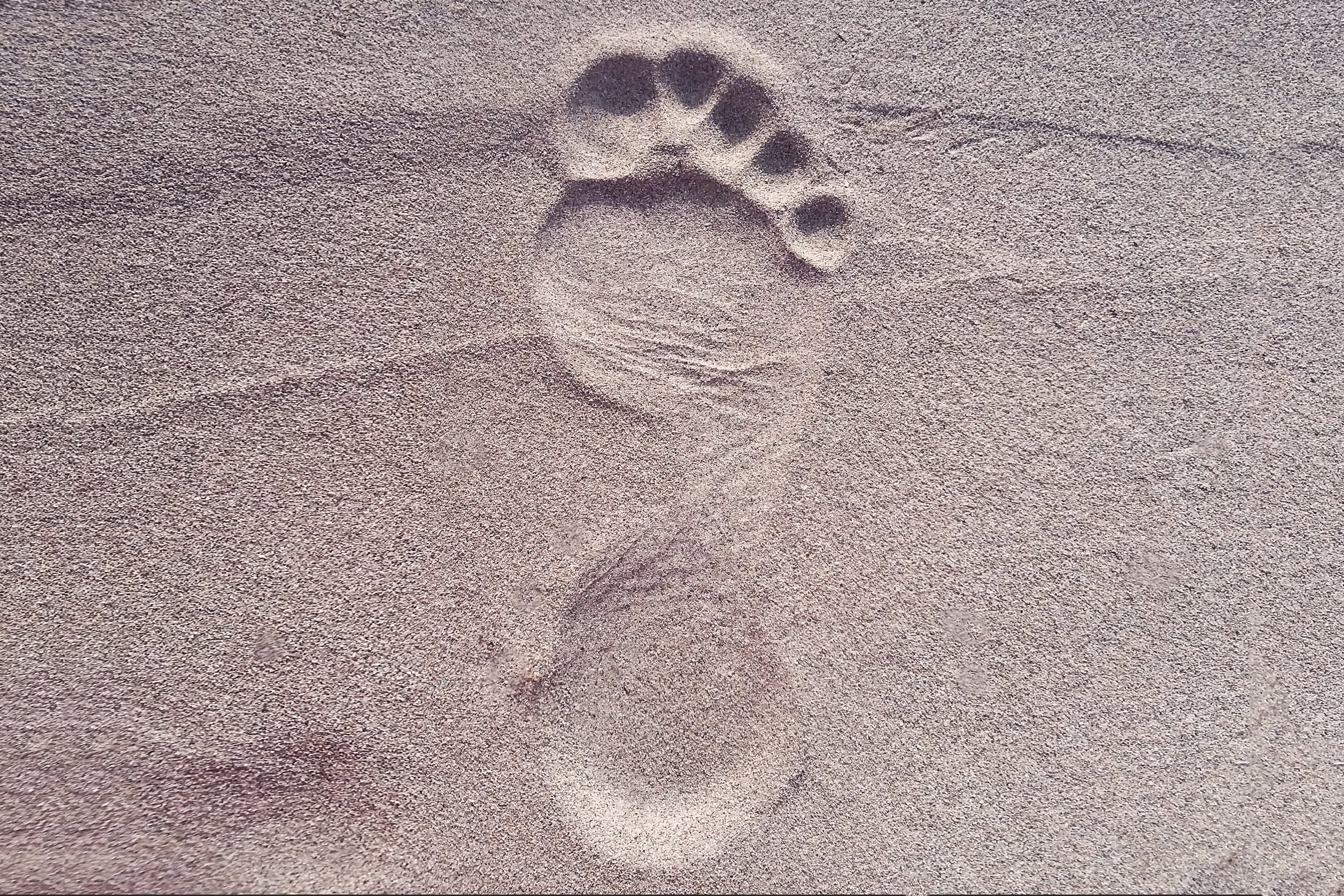 След черная благодарность. Отпечаток ноги на песке. Поверхностные следы. Поверхностные следы ног. Следы ног на песке.