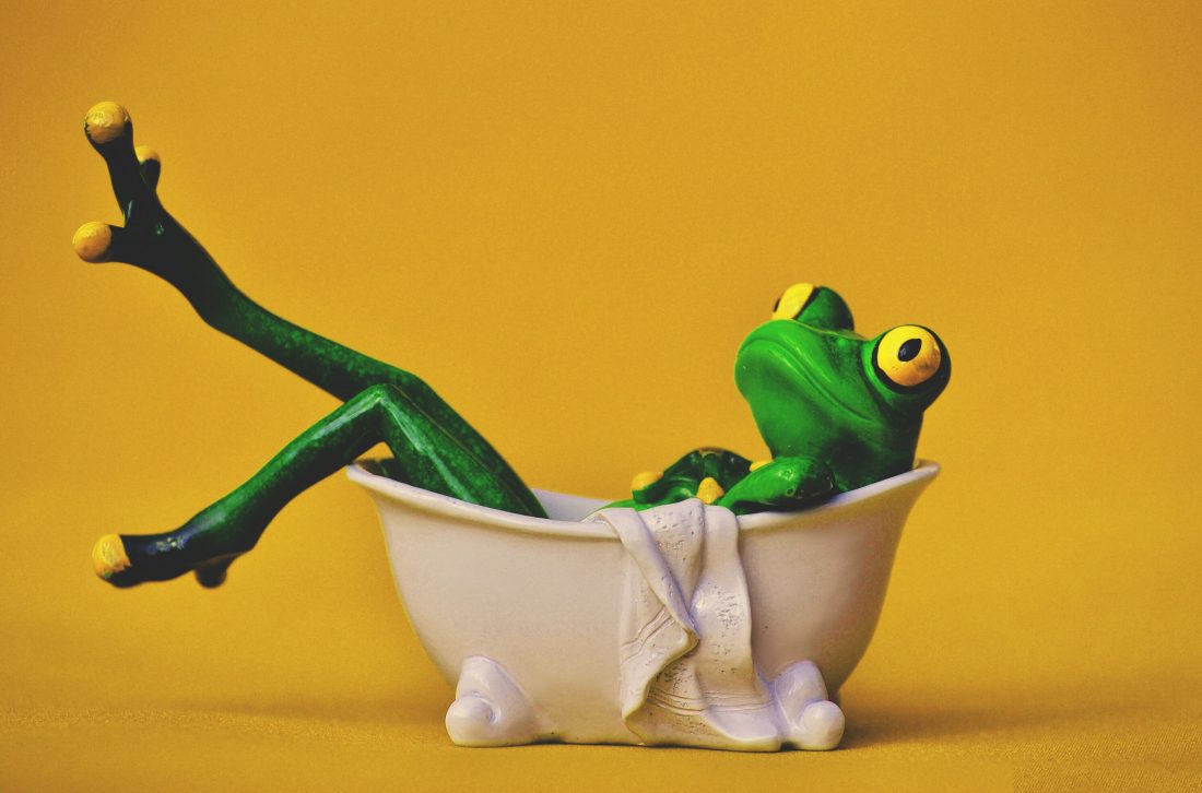 Free photo of Frog in Bath