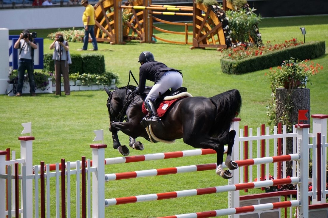 Free photo of Horse Jumping