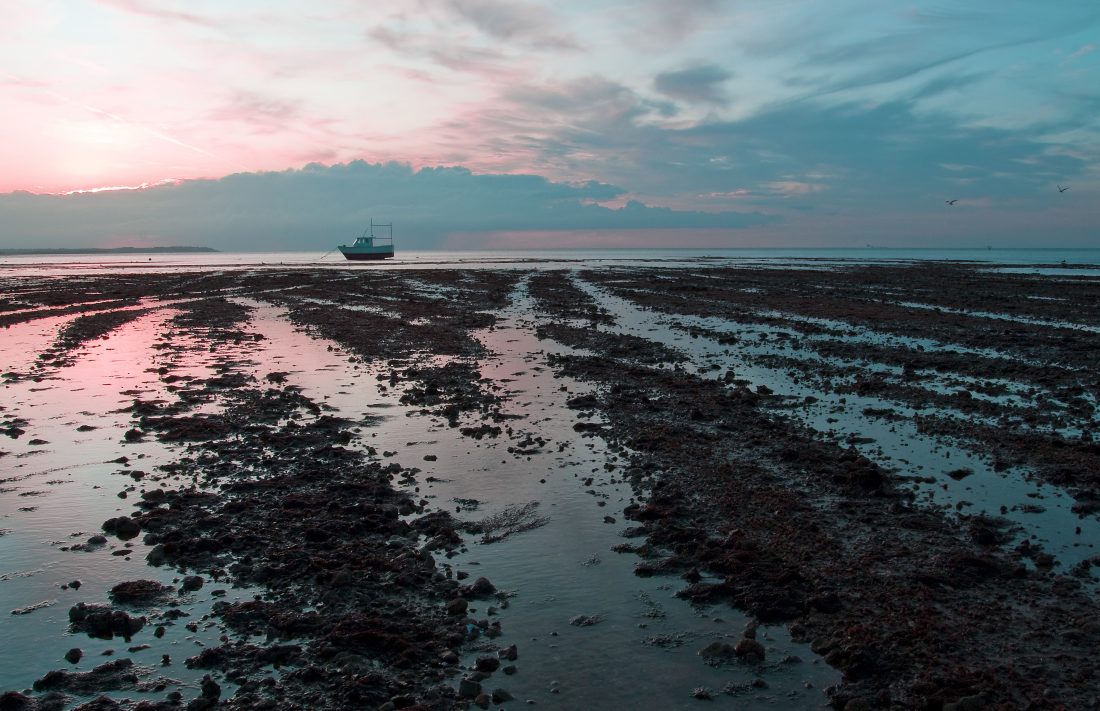 Free photo of Low Tide