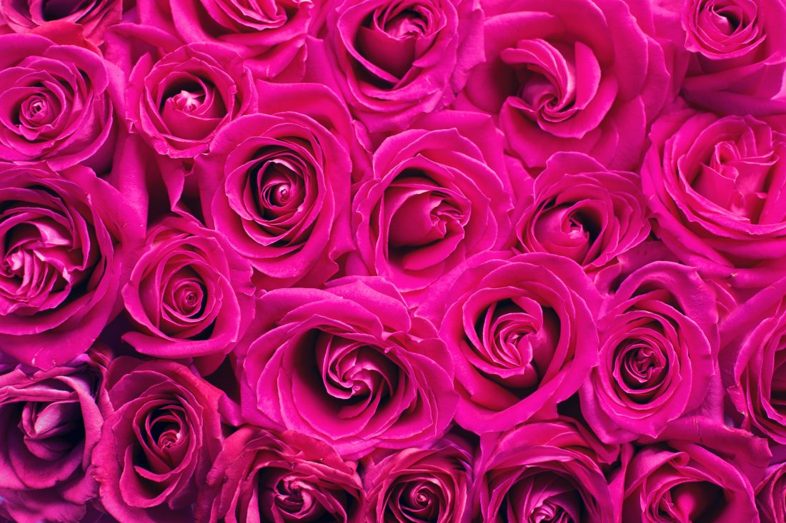 Free photo of Pink Wedding Flowers