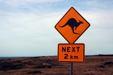 Kangaroo Warning Sign Free Stock Photo
