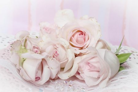 Wedding Roses Free Stock Photo