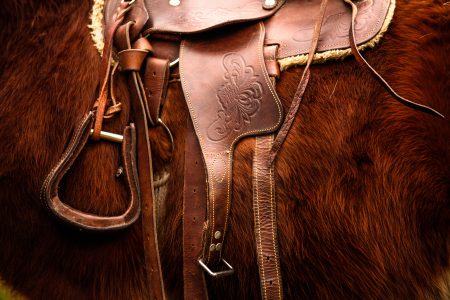 Horse Saddle Free Stock Photo