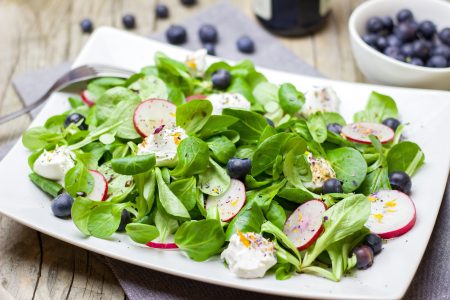 Healthy Salad with Radishes Free Stock Photo