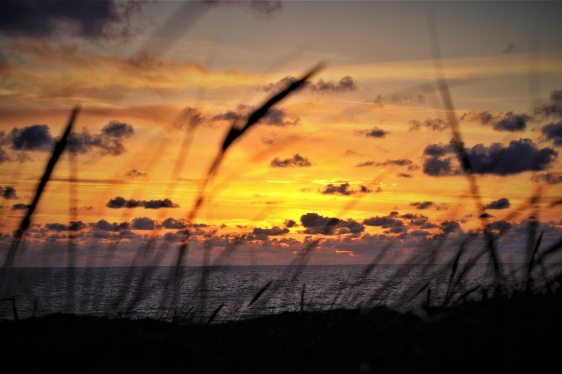 Free photo of Seascape Sunset
