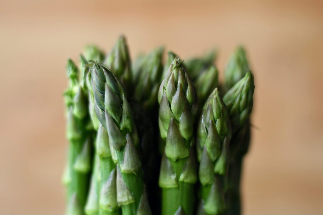 Free photo of Asparagus
