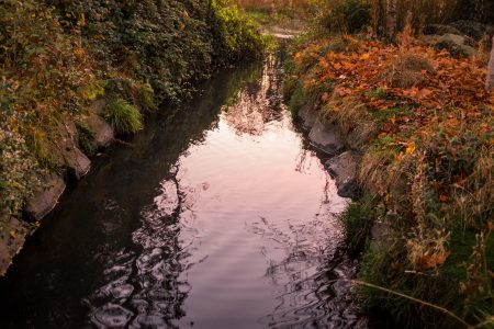 Autumn Leaves River Reflection Free Stock Photo