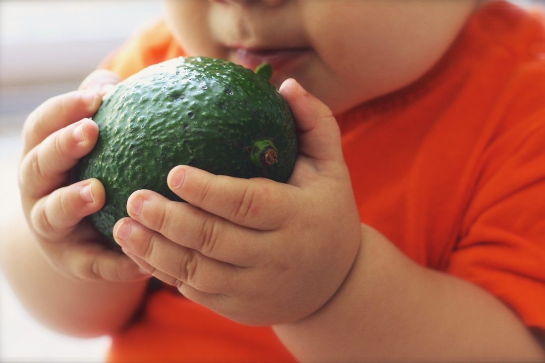 Free photo of Child with Avocado