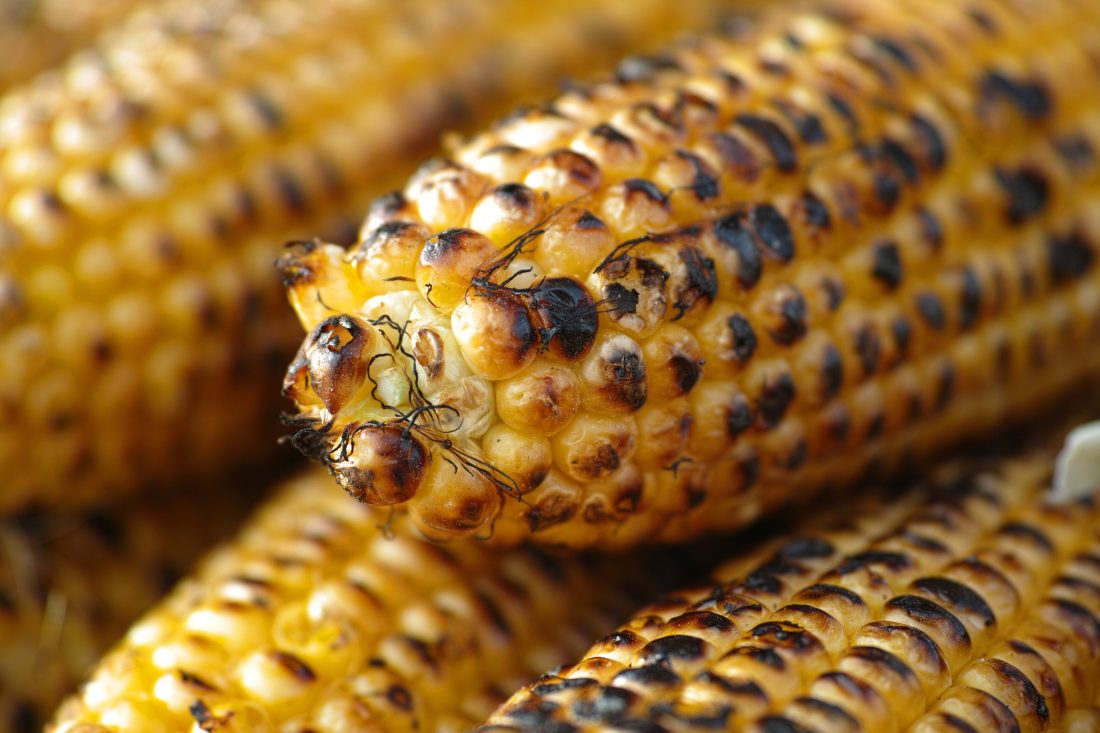 Free photo of Corn on BBQ