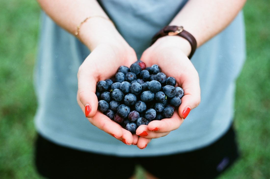 Free photo of Holding Blueberries