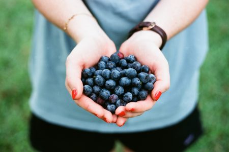 Holding Blueberries Free Stock Photo