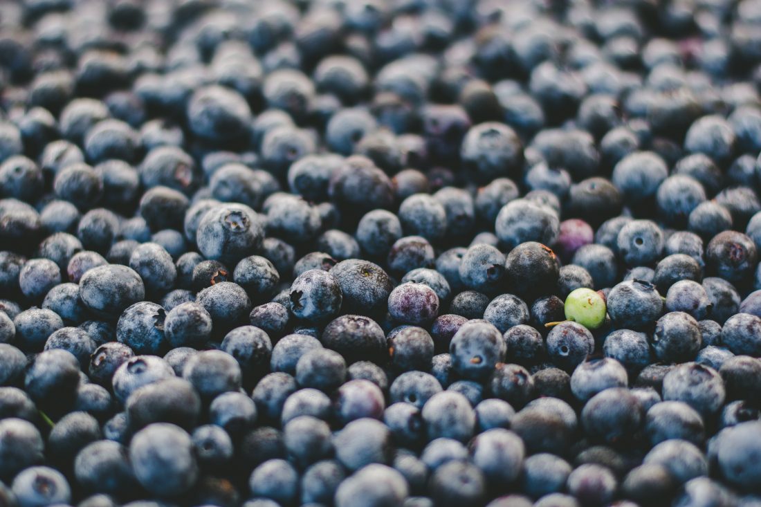 Free photo of Blueberries Background