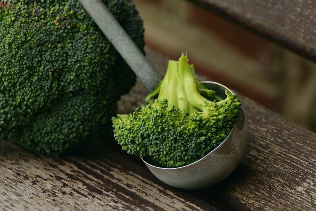 Free photo of Broccoli Vegetables