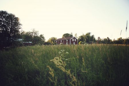 Brown Farmhouse in Field