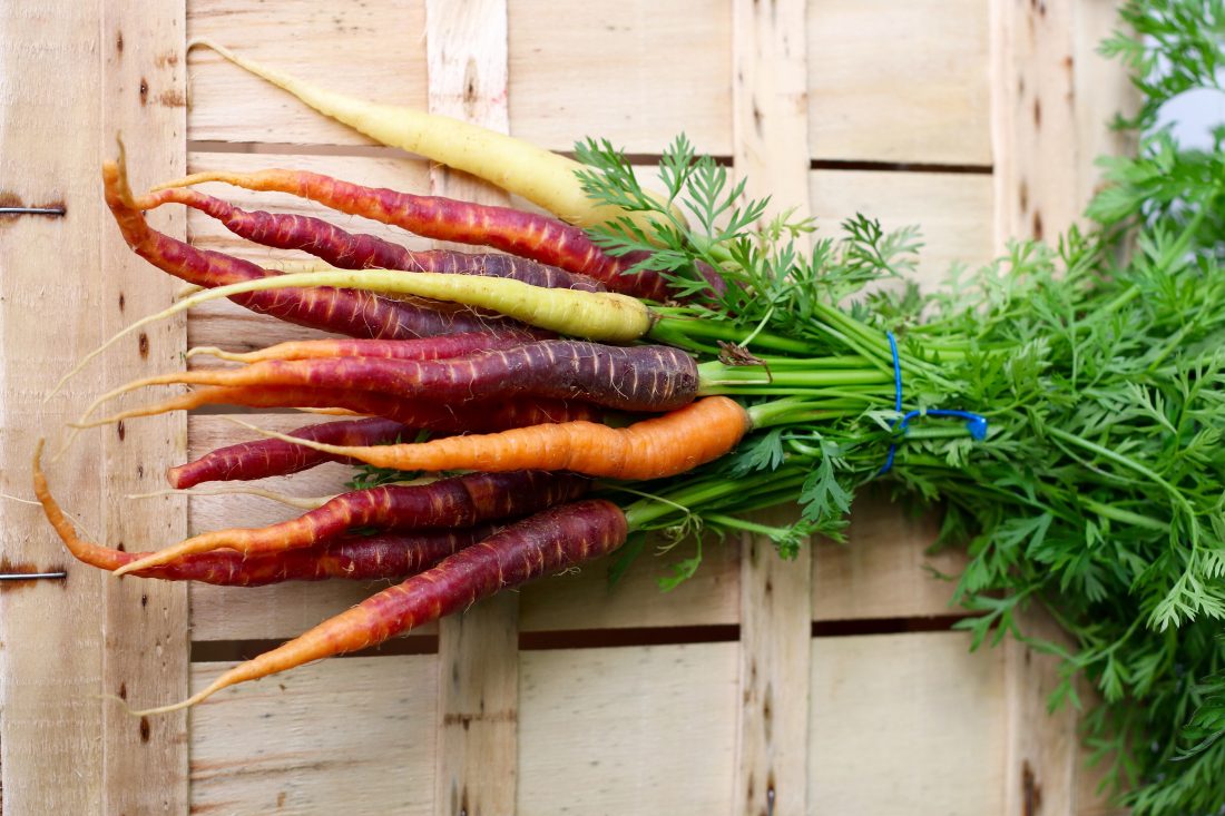 Free photo of Organic Carrots
