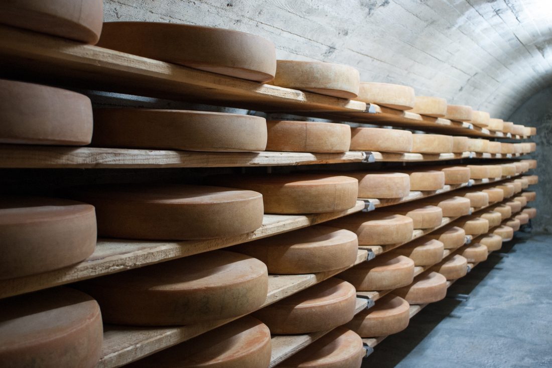 Free photo of Cheese in Storage