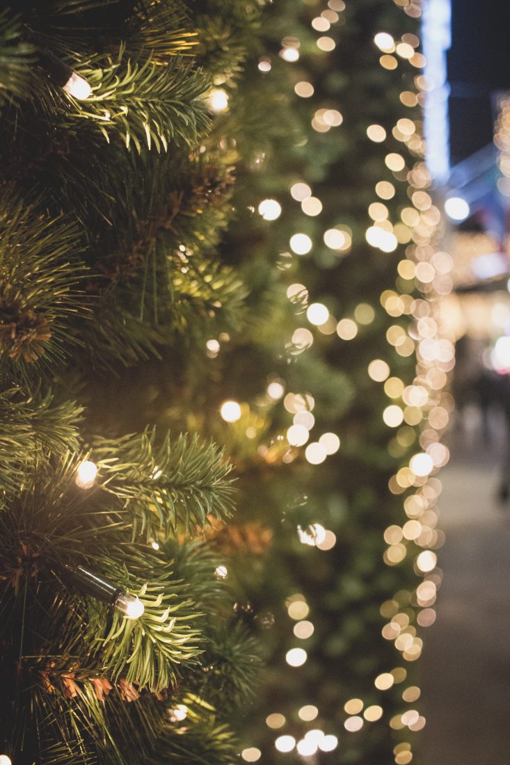 Free photo of Christmas Lights Tree Bokeh