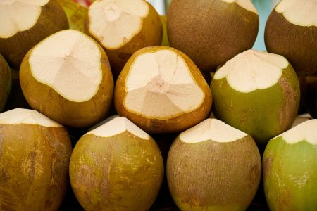 Tropical Coconuts Free Stock Photo