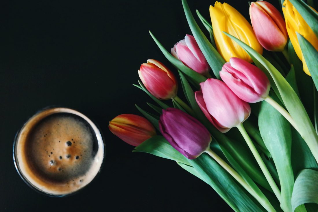 Free photo of Coffee & Tulips Flowers