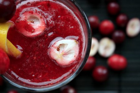 Cranberry Smoothie Cocktail Free Stock Photo