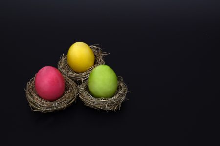Easter Eggs Nest Free Stock Photo