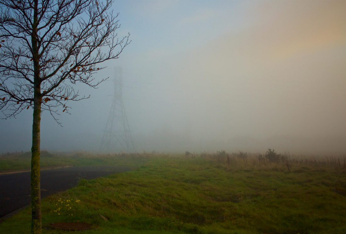 Free photo of Electric Mist