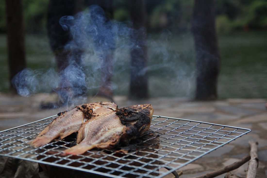 Free photo of Fish on BBQ Grill