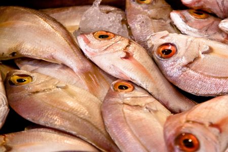 Raw Fish at Market Free Stock Photo