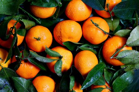 Fresh Oranges Free Stock Photo